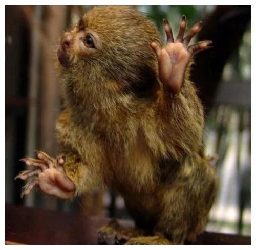 ml$翋鹝狒荂雦w$(鑱旀兂m7400)